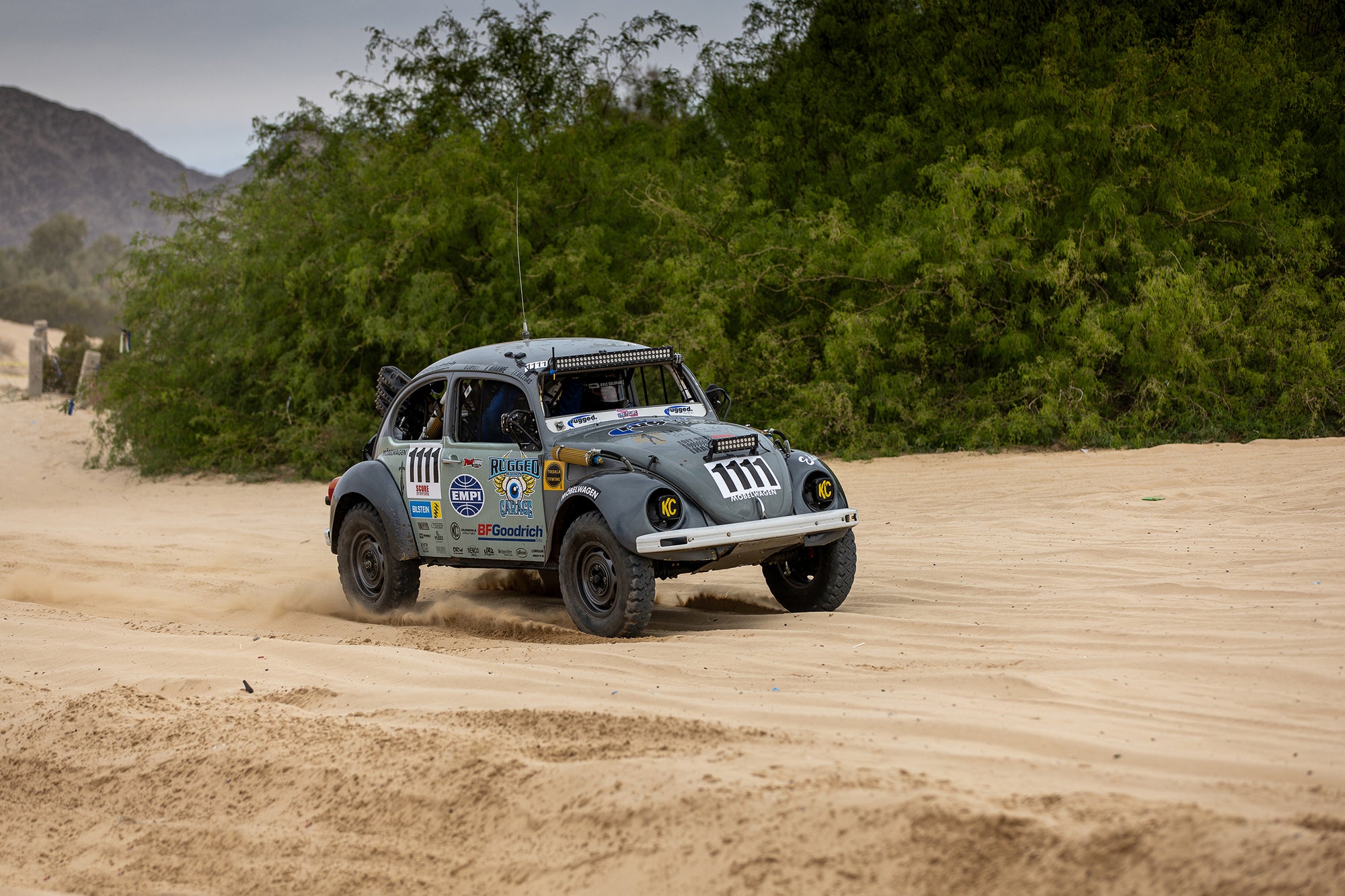 430g Race Beetle